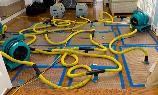 Professional Sewage Cleanup technician working in Malta, OH